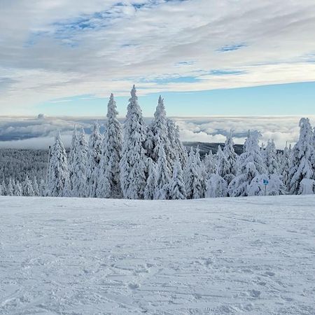 Chata Jeleni Drevenice S Vlastni Virivkou Horni Halze Kültér fotó