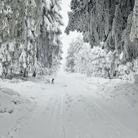 Chata Jeleni Drevenice S Vlastni Virivkou Horni Halze Kültér fotó