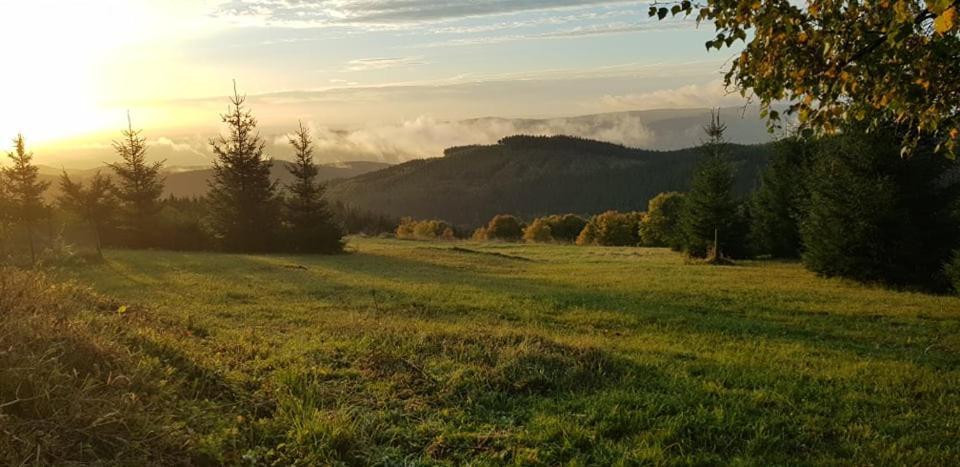 Chata Jeleni Drevenice S Vlastni Virivkou Horni Halze Kültér fotó